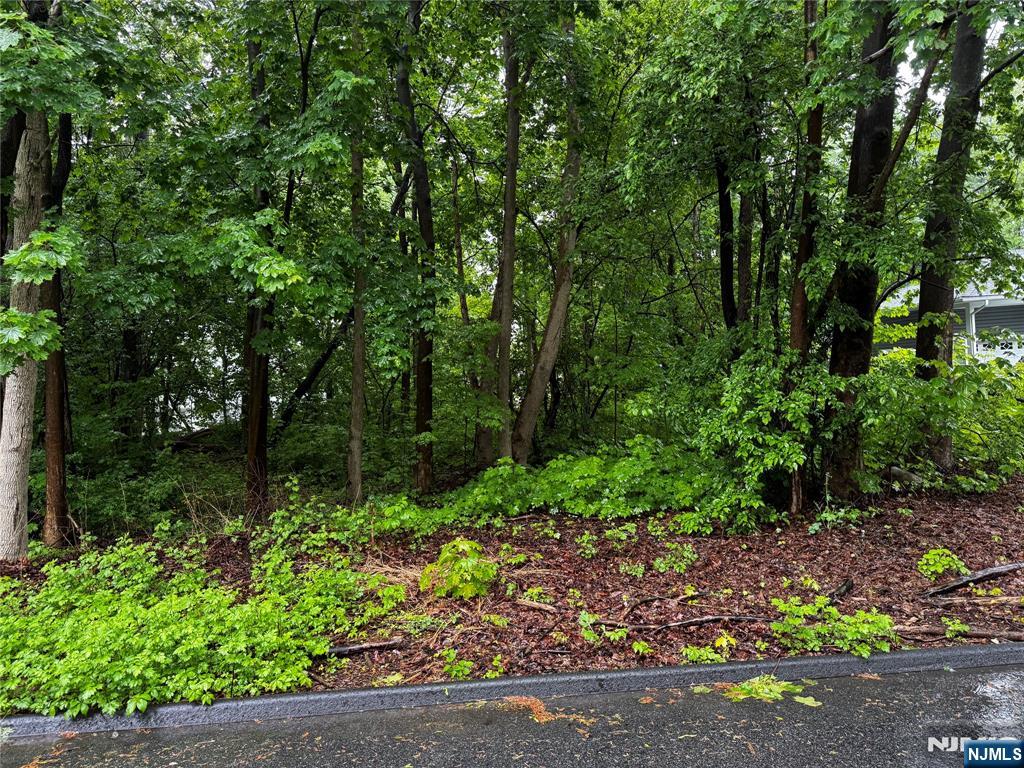 WALNUT Street,West Milford, NJ 07438