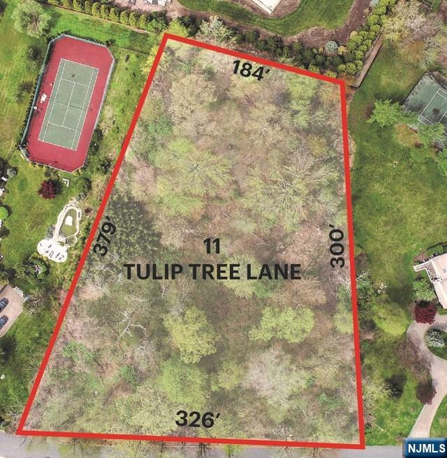 11 TULIP TREE Lane,Alpine, NJ 07620