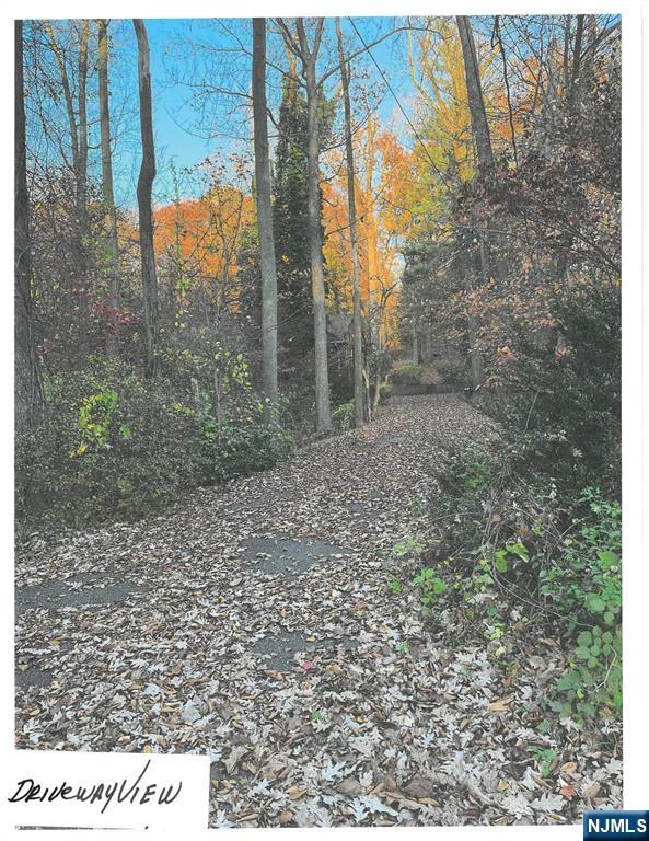 44 Robin ,Alpine, NJ 07620
