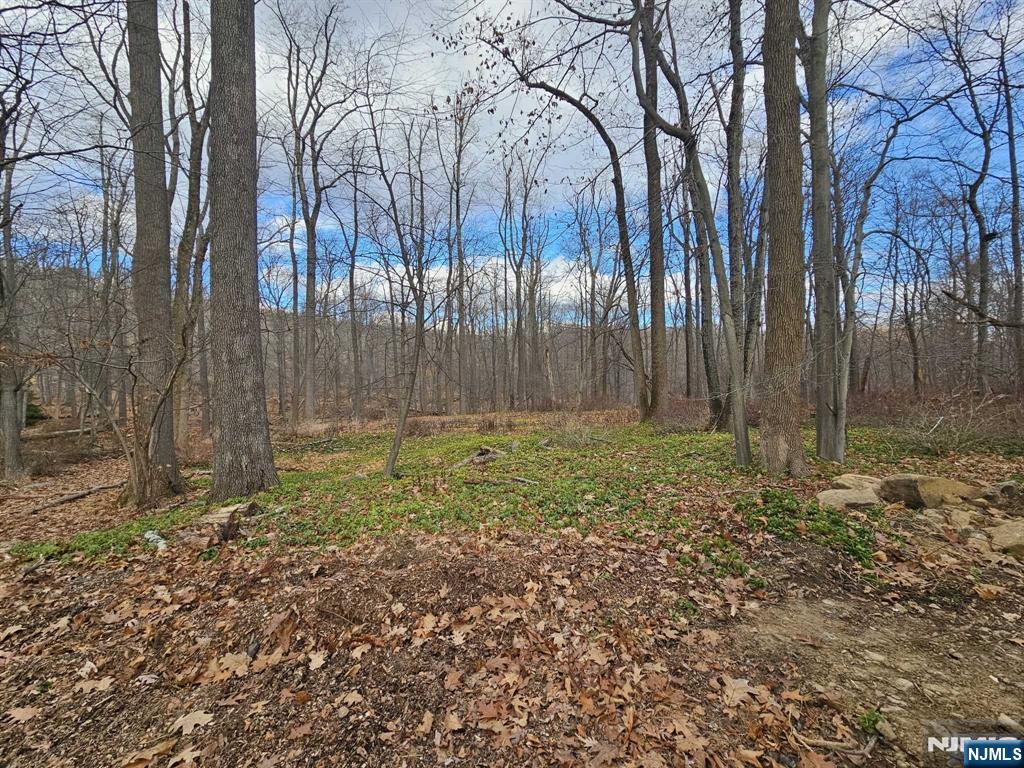 34 Starlight Drive,Morris Township, NJ 07960