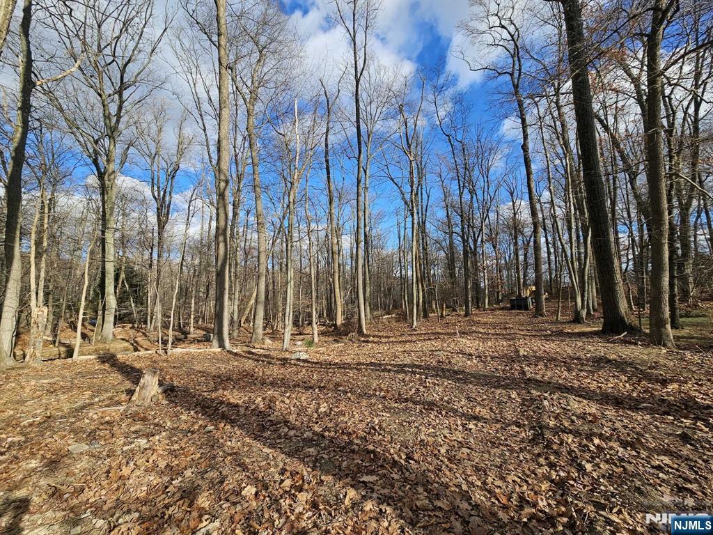 34 Starlight Drive,Morris Township, NJ 07960